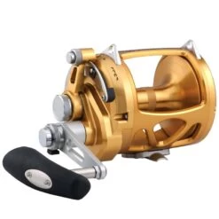 PENN International® 50VISW 2-Speed Conventional Reel, Gold
