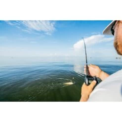 PENN 7' Battalion II Inshore Baitcasting Rod, Heavy Power -Angler Shop 20110276 4 1500.10082021020146