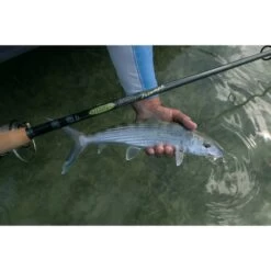 7'6" Triumph Inshore Spinning Rod, Medium Power -Angler Shop 20452587 7